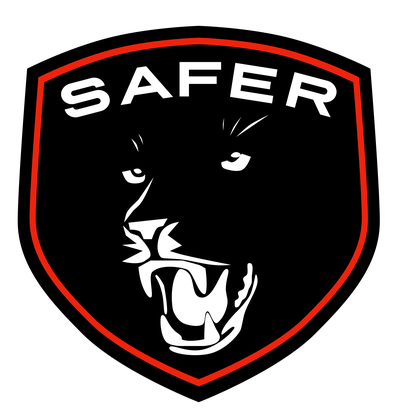 SAFER_logo